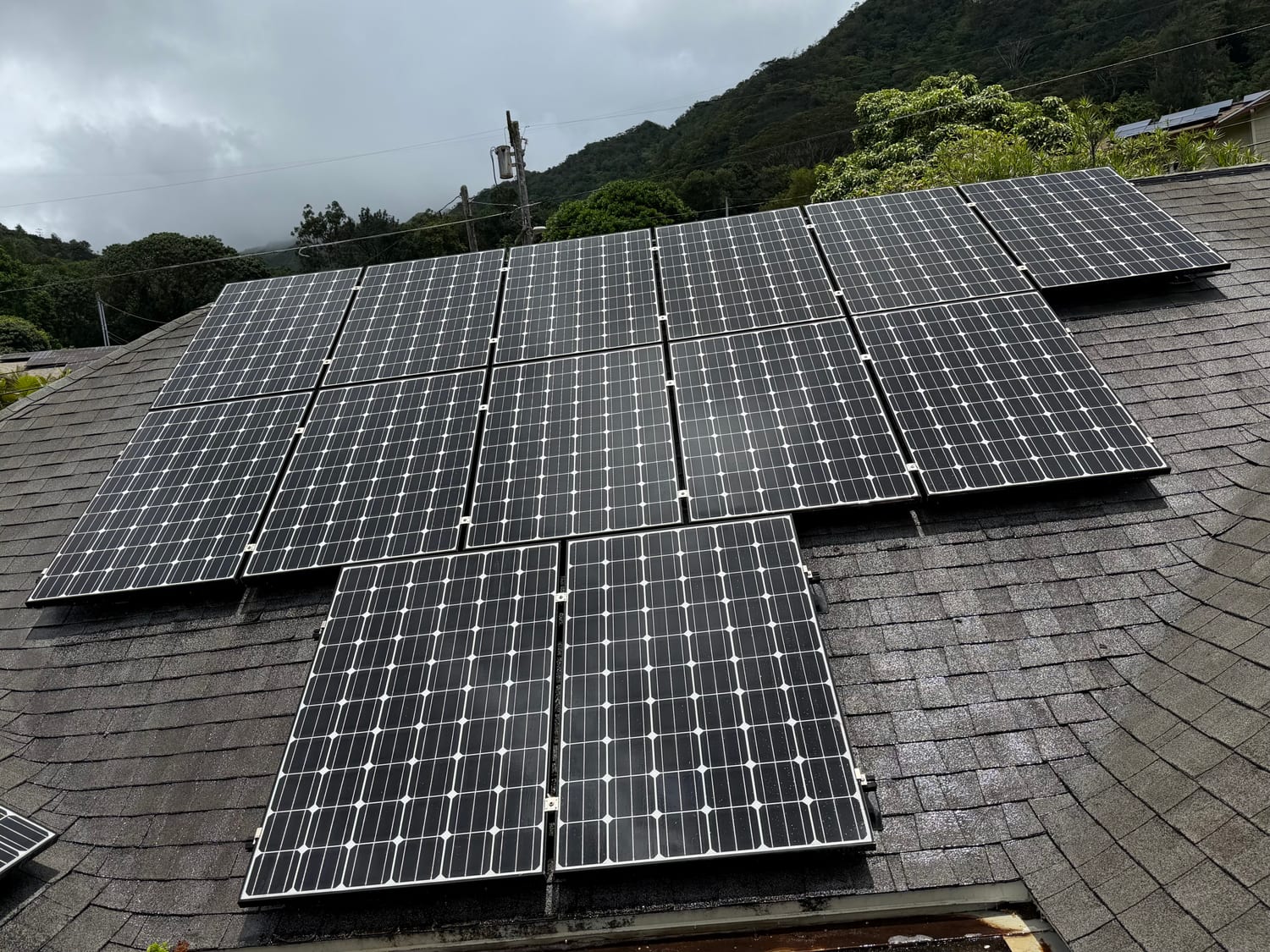 Freshly cleaned solar panels