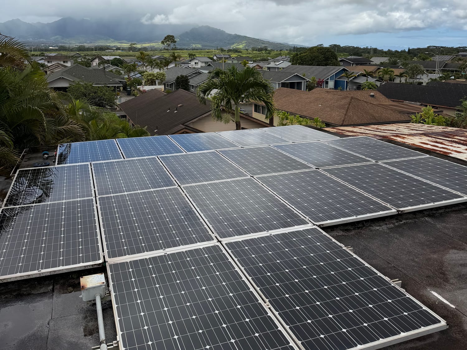 Freshly cleaned solar panels