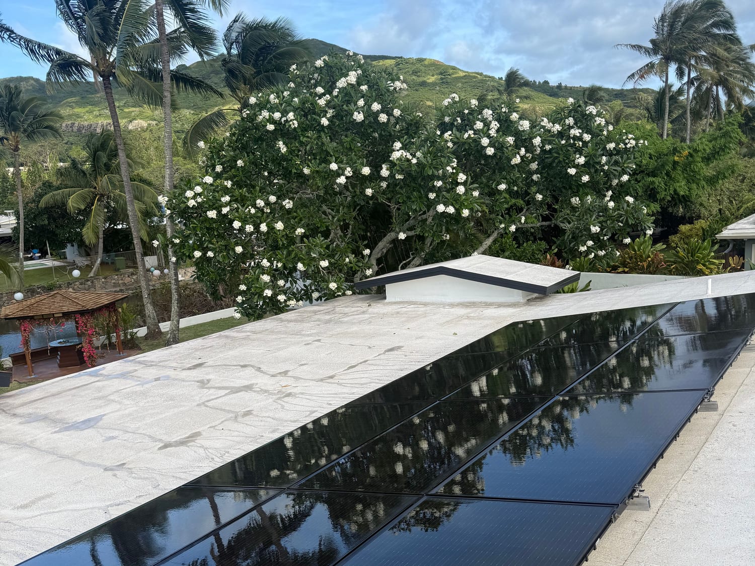 Freshly cleaned, mirror-clean solar panels
