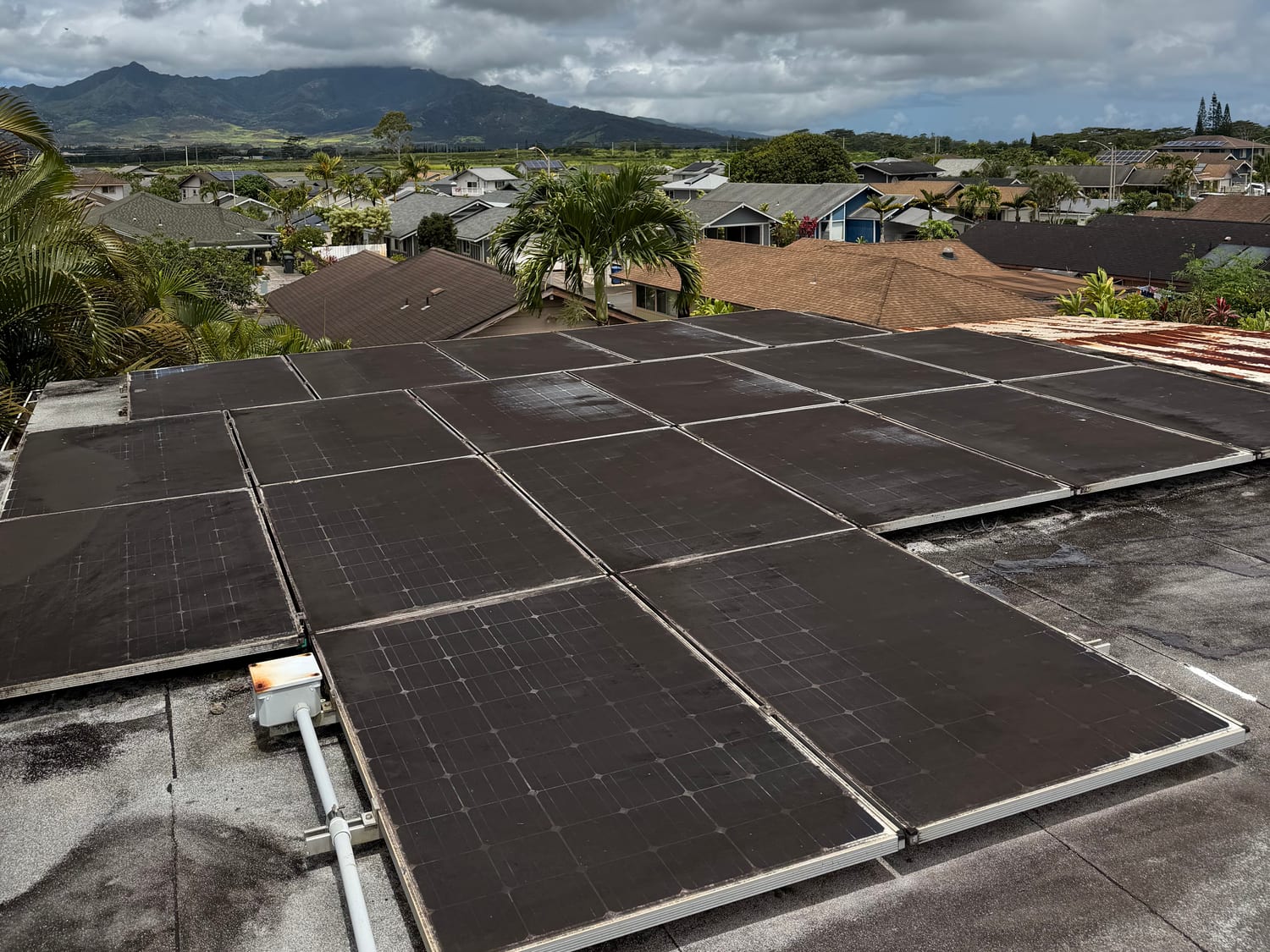 Dusty solar panels before cleaning